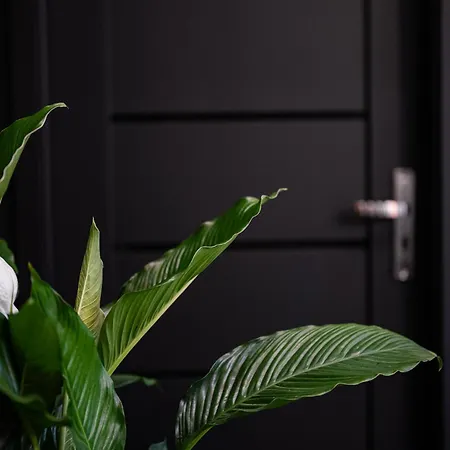 Apartment Livingroom Oficyna Self Check-in 24h *