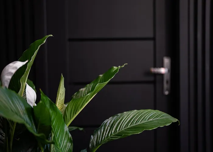 Daire Livingroom Oficyna Self Check-in 24h *